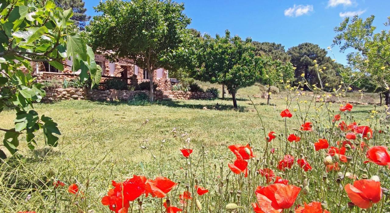 Esencia Lodge - Luxurious Off-Grid Cabin Retreat Almuñécar Esterno foto